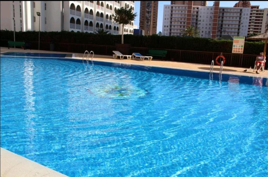 Acuarium Lux Lägenhet Benidorm Exteriör bild